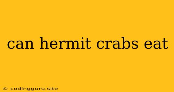 Can Hermit Crabs Eat