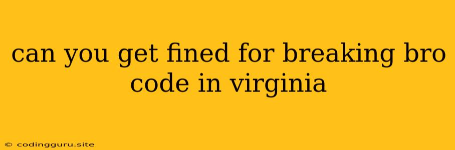 Can You Get Fined For Breaking Bro Code In Virginia