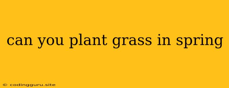 Can You Plant Grass In Spring