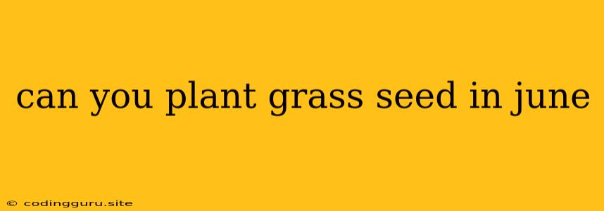 Can You Plant Grass Seed In June