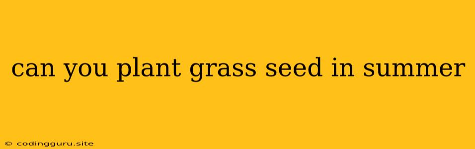 Can You Plant Grass Seed In Summer