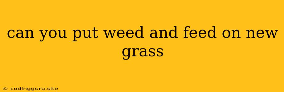 Can You Put Weed And Feed On New Grass