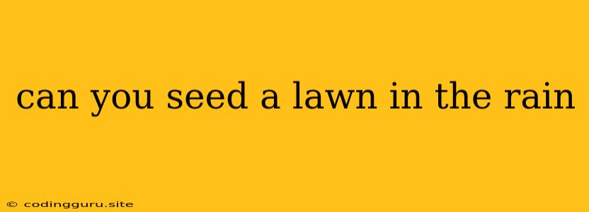 Can You Seed A Lawn In The Rain