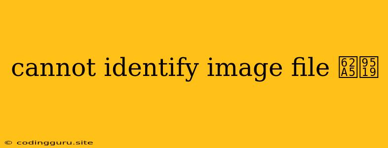 Cannot Identify Image File 报错