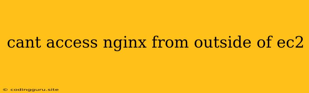 Cant Access Nginx From Outside Of Ec2