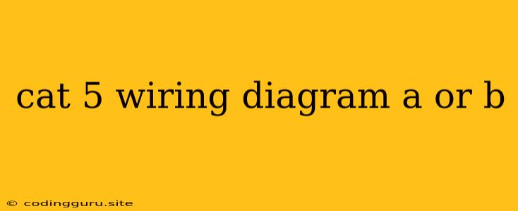 Cat 5 Wiring Diagram A Or B