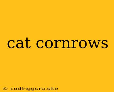 Cat Cornrows