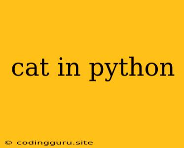 Cat In Python