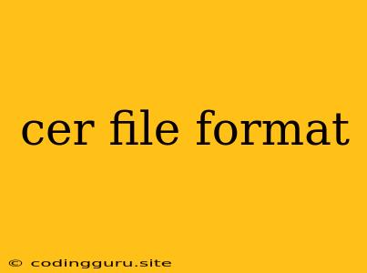 Cer File Format