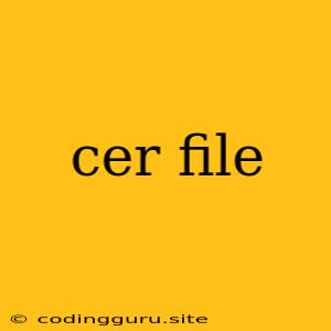 Cer File