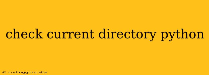 Check Current Directory Python