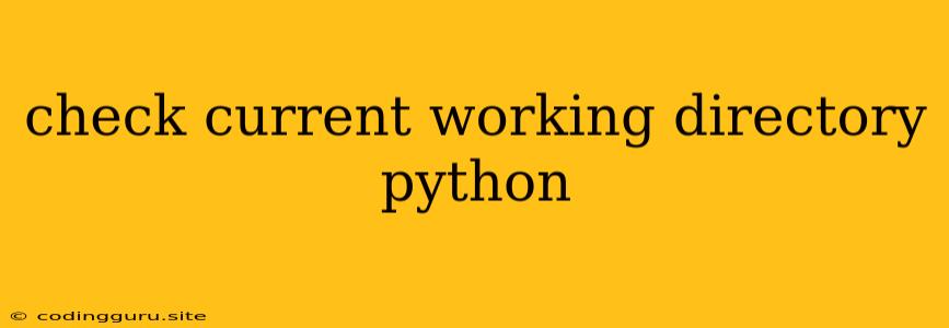 Check Current Working Directory Python