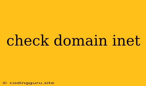 Check Domain Inet