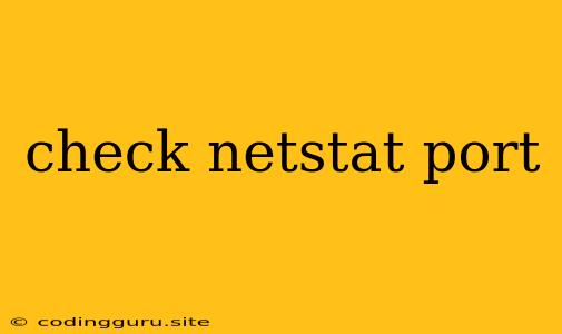 Check Netstat Port