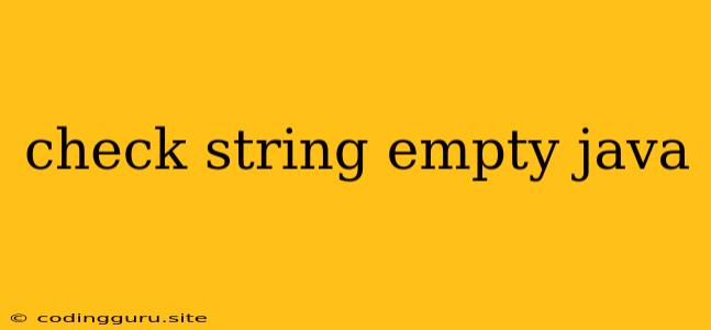 Check String Empty Java