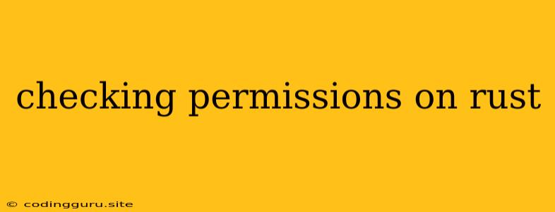 Checking Permissions On Rust