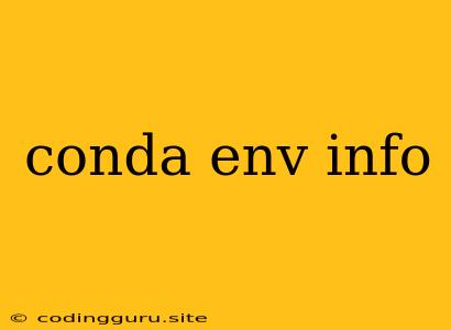 Conda Env Info