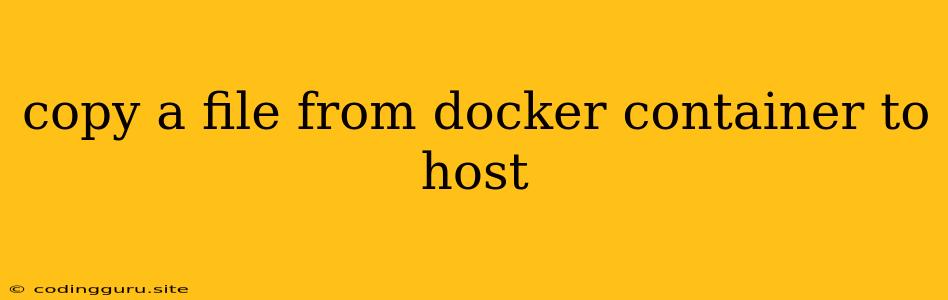 Copy A File From Docker Container To Host