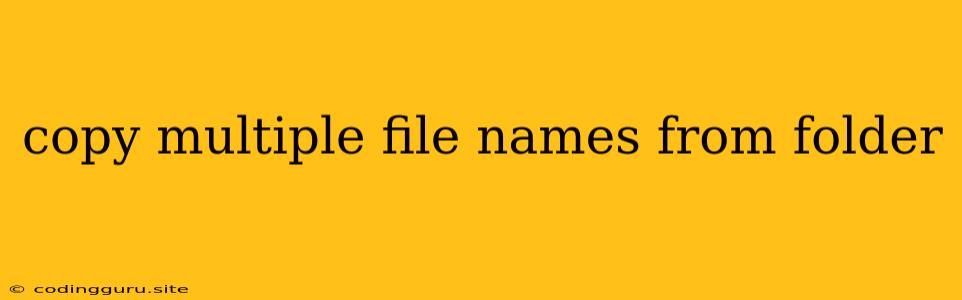 Copy Multiple File Names From Folder