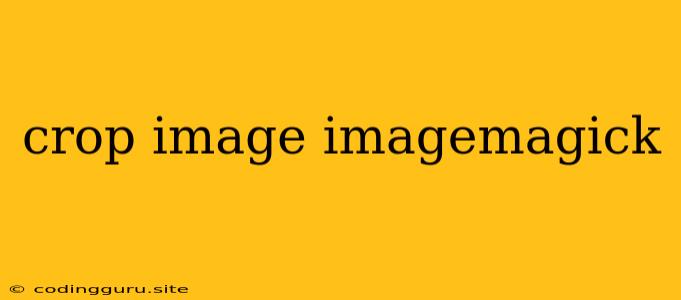 Crop Image Imagemagick