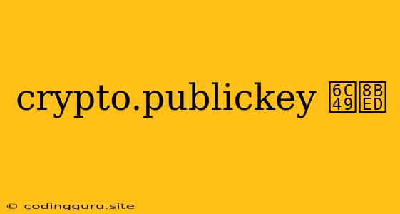 Crypto.publickey 汉语