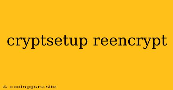 Cryptsetup Reencrypt