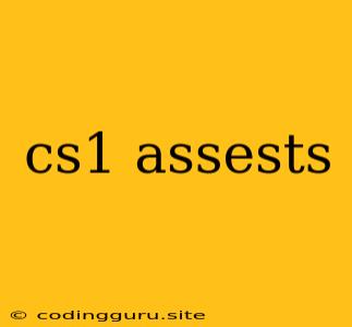 Cs1 Assests