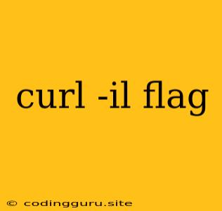 Curl -il Flag