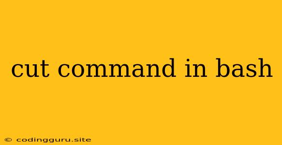 Cut Command In Bash