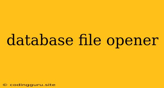 Database File Opener