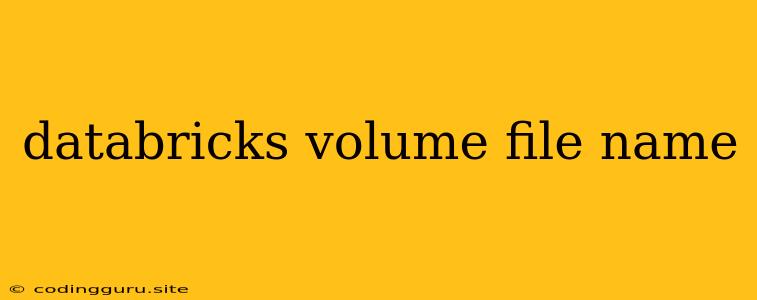 Databricks Volume File Name