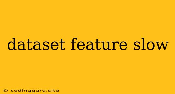 Dataset Feature Slow