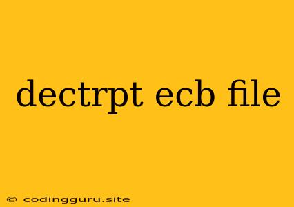 Dectrpt Ecb File