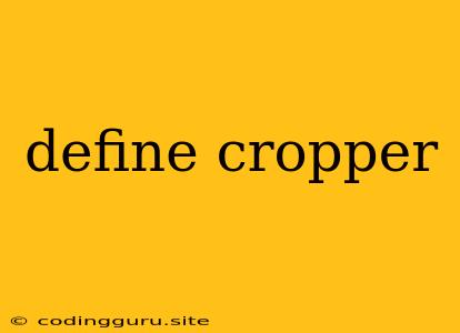 Define Cropper