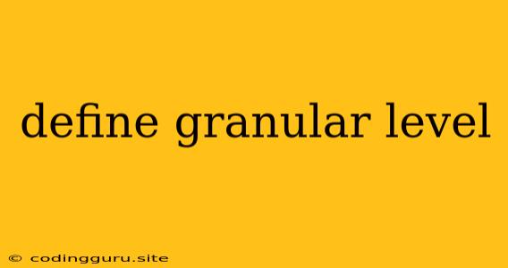 Define Granular Level