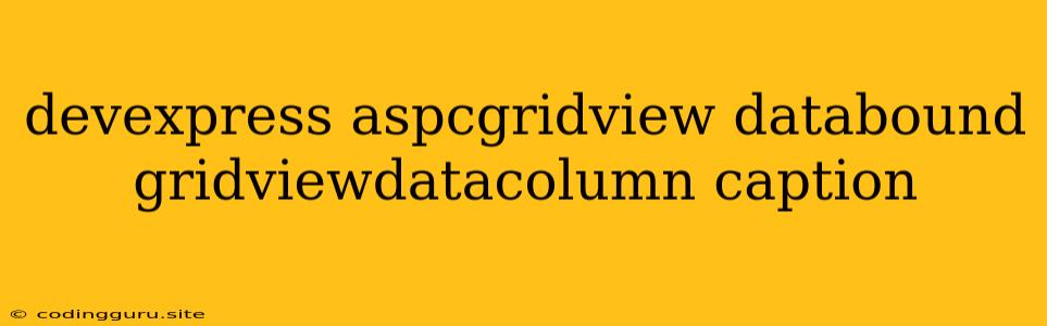 Devexpress Aspcgridview Databound Gridviewdatacolumn Caption