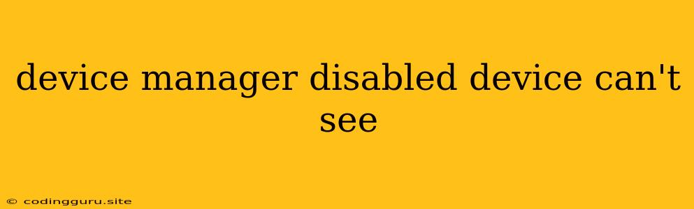 Device Manager Disabled Device Can't See
