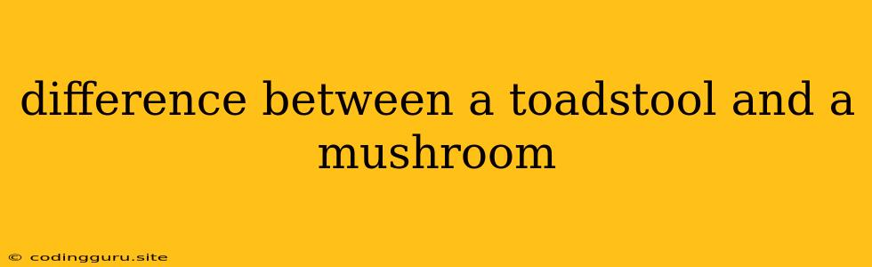 Difference Between A Toadstool And A Mushroom