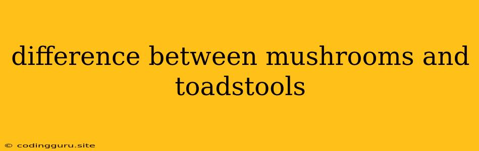 Difference Between Mushrooms And Toadstools