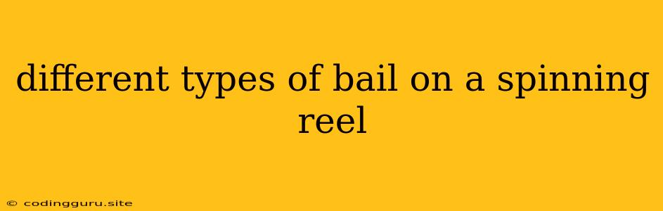 Different Types Of Bail On A Spinning Reel