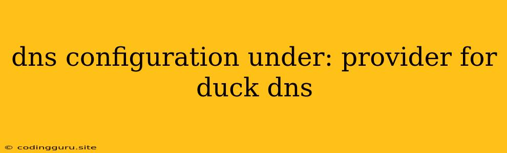 Dns Configuration Under: Provider For Duck Dns