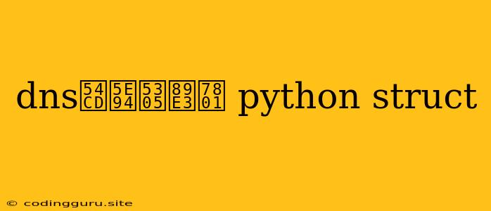 Dns响应包解码 Python Struct