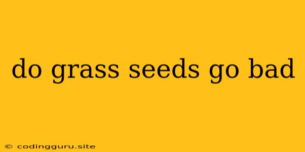 Do Grass Seeds Go Bad