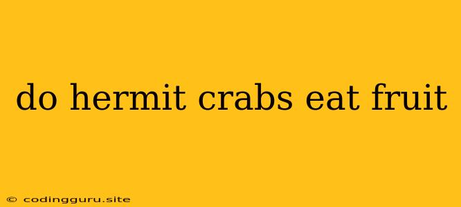 Do Hermit Crabs Eat Fruit