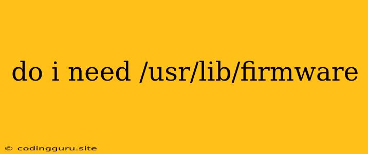 Do I Need /usr/lib/firmware