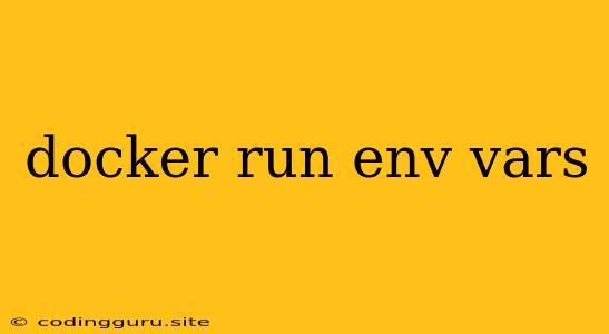 Docker Run Env Vars