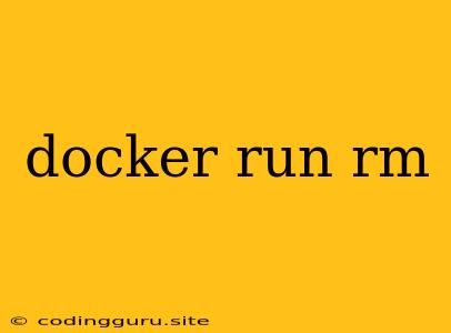 Docker Run Rm