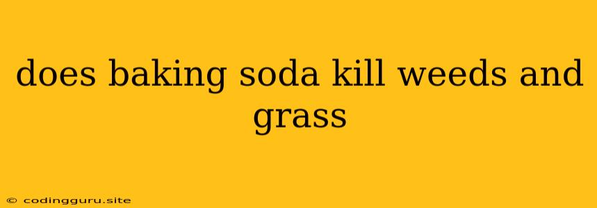 Does Baking Soda Kill Weeds And Grass