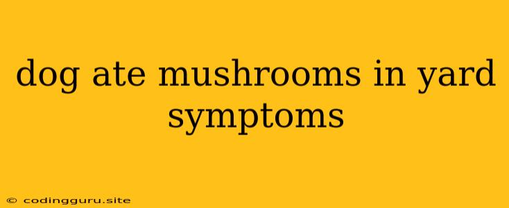 Dog Ate Mushrooms In Yard Symptoms