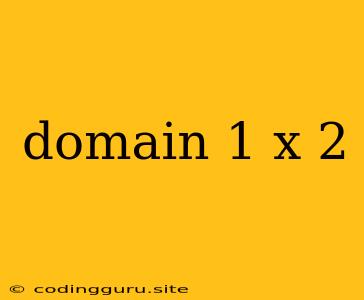 Domain 1 X 2